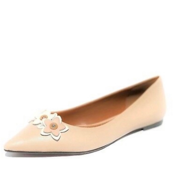 Coach floral applique pointed leather flats - Picture 1 of 7